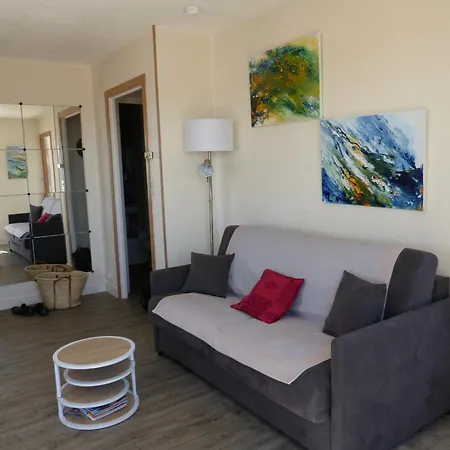 Apartment T2 Avec Wifi, Grande Terrasse Exposee Sud, A 500m De La - Fr-1-92-924