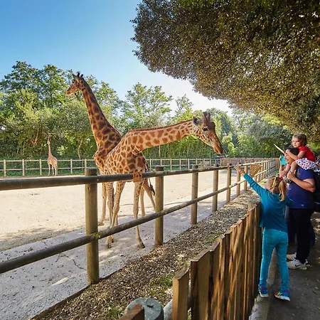 Апартаменты T2 Avec Wifi, Grande Terrasse, A 500m De La - Fr-1-92-924